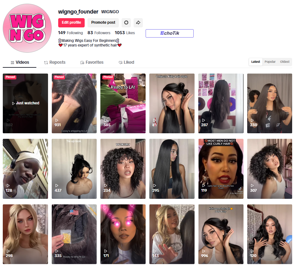 Wig N Go Founder TikTok account